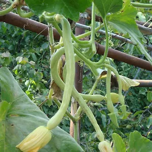 Apartmán I Girasoli, Ventimiglia